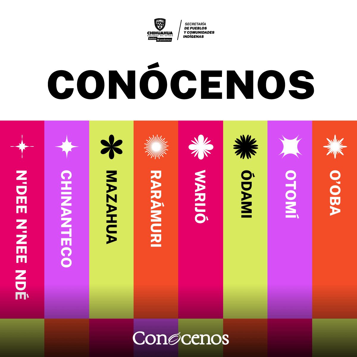 Campaña conocenos