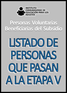 Resultados etapa V