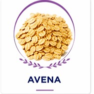 Avena