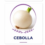 Cebolla