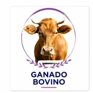 Ganado Bovino