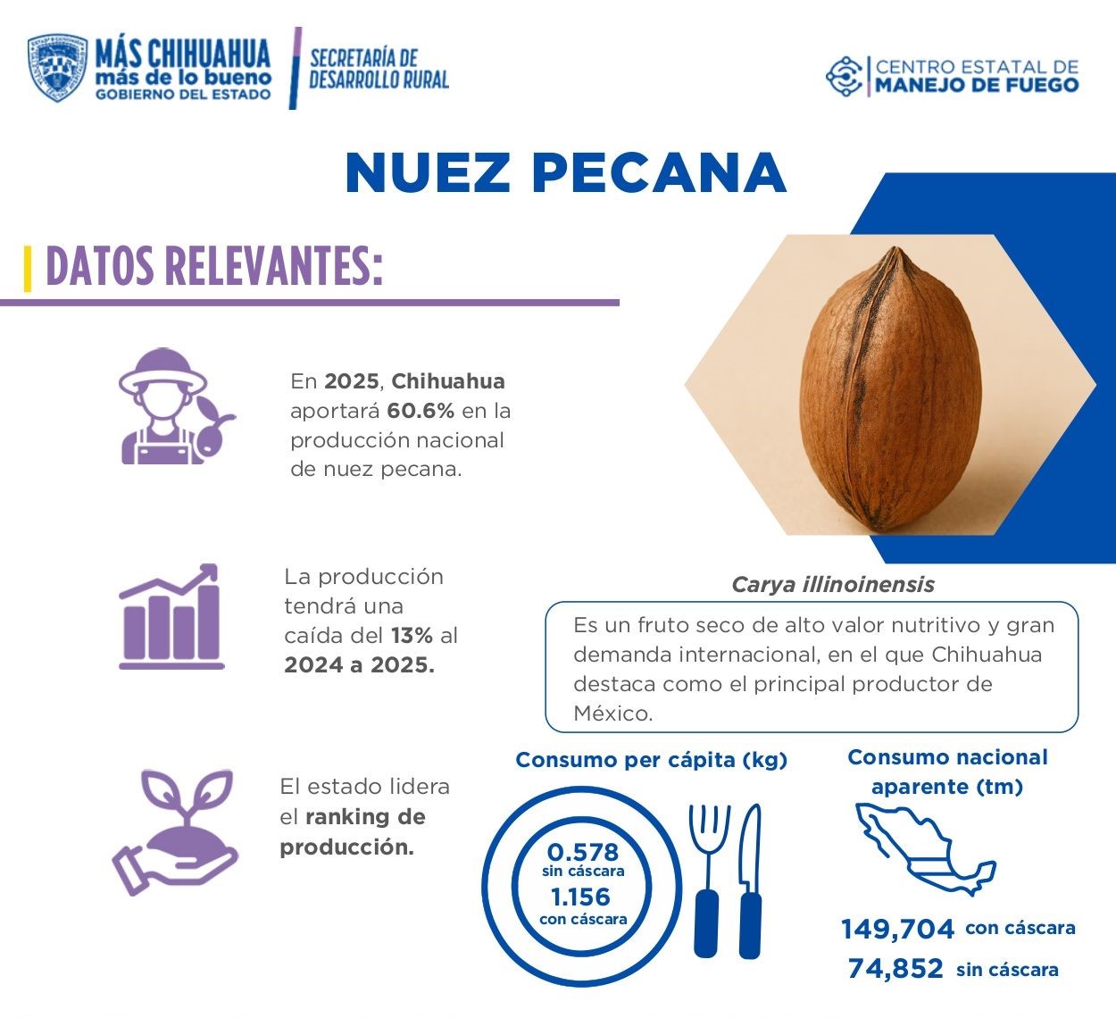 Nuez Pecana