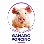 Ganado Porcino